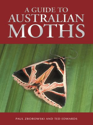 cover image of A Guide to Australian Moths